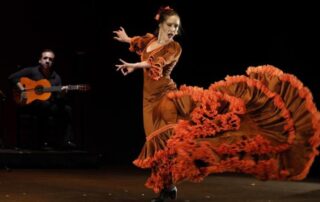 dia del flamenco SMA