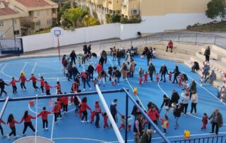 festivo San Antón 2024 SMA